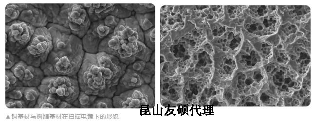 东营蔡司东营扫描电镜