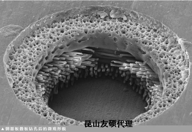 东营蔡司东营扫描电镜